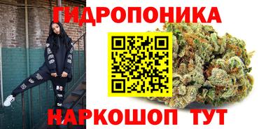 молекула духа Волжск