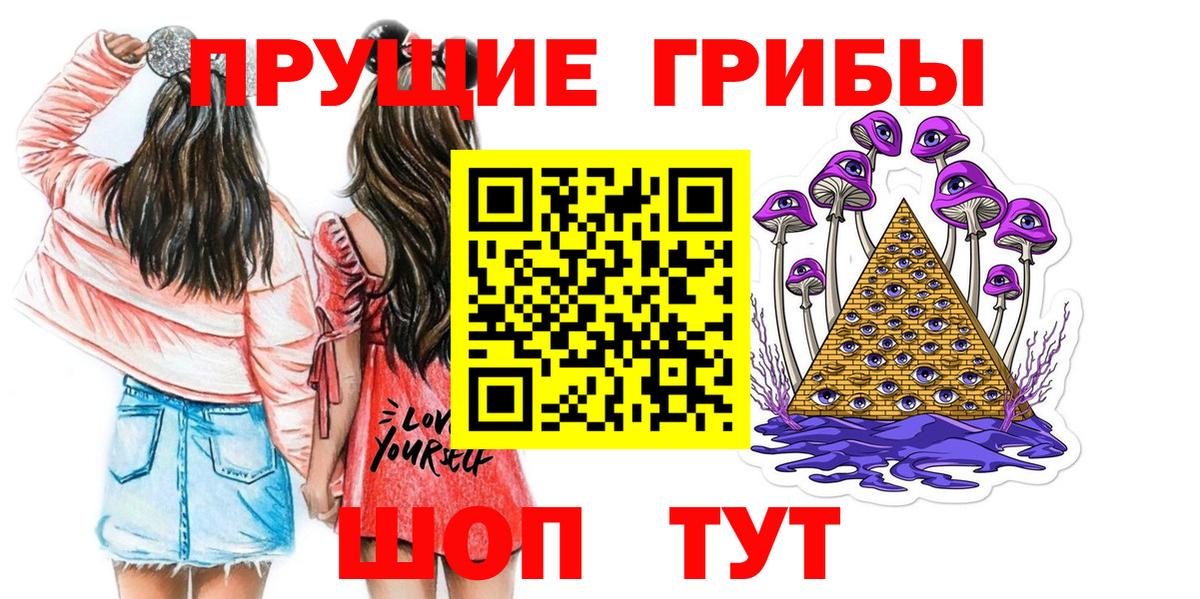 Псилоцибиновые грибы Psilocybe Можга