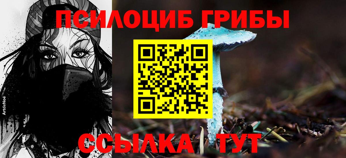 Можга  Галлюциногенные грибы Cubensis  Вход с VPN 